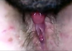 Licking a hairy teen pussy
